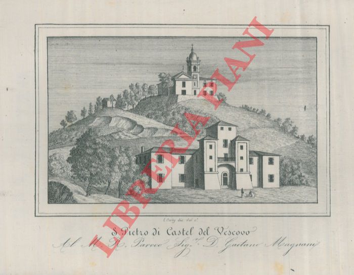 Corty E. - - S. Pietro di Castel del Vescovo.