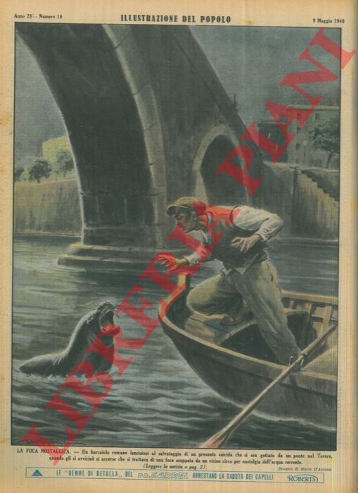 D'ANTONA Mario - - La foca nostalgica. Un barcaiolo romano lanciatosi al salvataggio di un presunto suicida che si era gettato da un ponte nel Tevere, quando gli si avvicin si accorse che si trattava di una foca scappata da un vicino circo per nostalgia dell'acqua corrente.