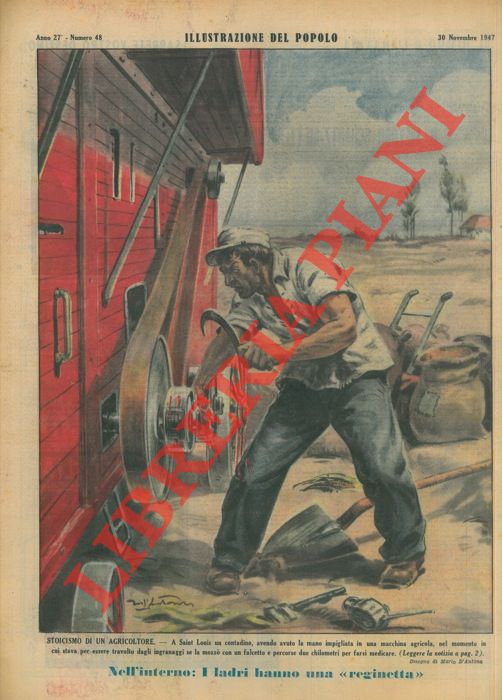 D'ANTONA Mario - - Stoicismo di un agricoltore. A Saint Louis un contadino, avendo avuto la mano impigliata in una macchina agricola, nel momento in cui stava per essere travolto dagli ingranaggi se la mozz con un falcetto e percorse due chilometri per farsi medicare.