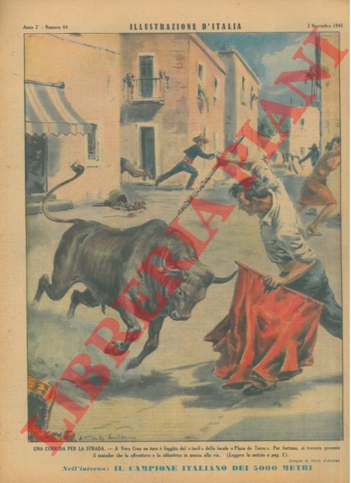 D'ANTONA Mario - - Una corrida per la strada. A Vera Cruz un toro  fuggito dal 'toril' della locale 'Plaza de Toros' . Per fortuna, si trovava presente il matador che lo affrontava e lo abbatteva in mezzo alla via.