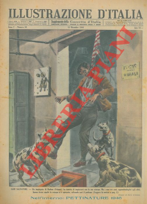 D'ANTONA Mario - - Cani salvatori. Un impiegato di Radom (Polonia) ha tentato di impiccarsi con la sua sciarpa. Ma i suoi tre cani, appendendoglisi agli abiti, hanno tirato sinch la sciarpa si  spezzata, salvando cos