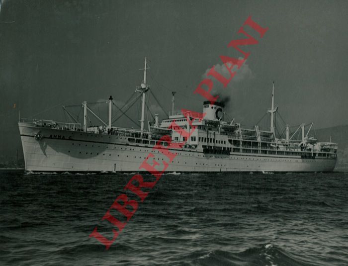 Foto E. Binelli. Genova - - Anna C.