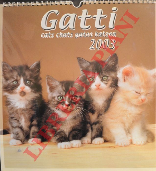 - - Gatti,  cats, chats, gatos, katzen. Calendario 2003.