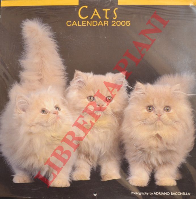 Adriano Bacchella - - Cats. Calendar 2005.