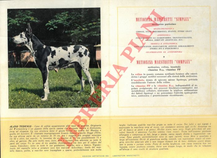 Lab. Farm. Maestretti - - Alano tedesco, Apso, Bobtail, Bull-dog, Bull-dog francese, Can barbone, Carlino, Clumber spaniel, Corgi, Fox-terrier a pelo ruvido, Golden retriever, Irish water spaniel, Keeshond, Levriere afgano, Levriere inglese, Pastore scozzese nano, Pastore tedesco, Pointer, Samoiedo, Schnauzer, Teckel a pelo duro, Terranova, Terrier d'Australia, Whippet.
