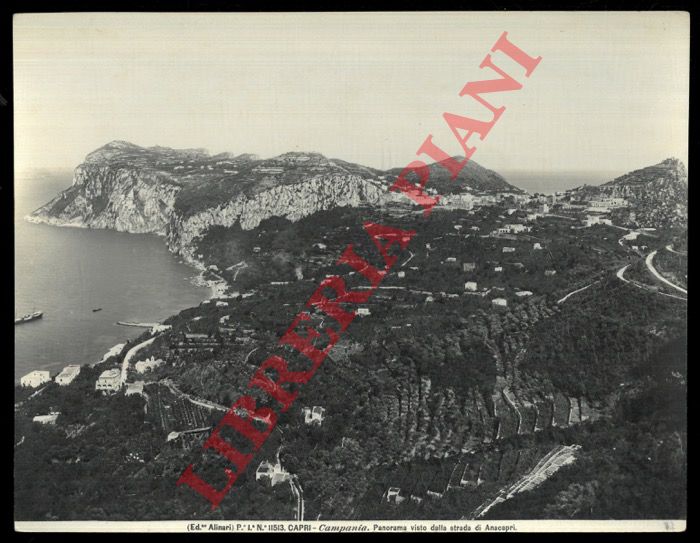 Alinari - - Capri. Panorama visto dalla strada di Anacapri.