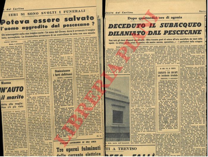 - - Deceduto il subacqueo dilaniato dal pescecane.