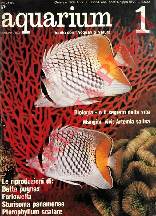 - - Aquarium. Mensile di informazione e di attualit acquariofila.