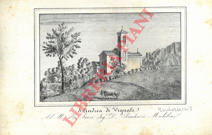 Corty E. - - S. Andrea di Vignale. (Monterenzio)