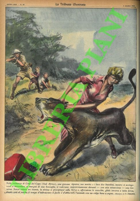 PISANI Vittorio - - Nelle vicinanze di Citt del Capo (Sud Africa), una giovane signora, suo marito e i loro due bambini, mentre si accingevano a merendare ai margini di una boscaglia, si vedevano improvvisamente davanti - con aria minacciosa - una leonessa. Senza esitare un istante, la donna si precipitava sulla belva e, afferratene le orecchie, gliele torceva a tutta forza, dando cos