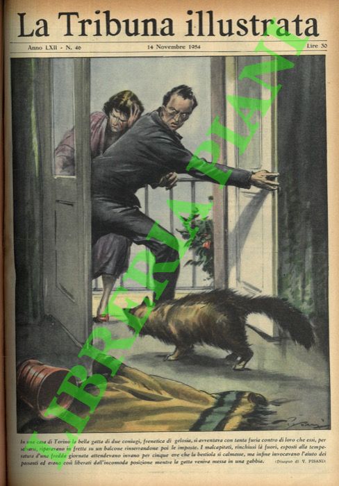 PISANI Vittorio - - In una casa di Torino, la bella gatta di due coniugi, frenetica di gelosia, si avventava con tanta furia contro di loro che essi, per salvarsi, riparavano in fretta su un balcone rinserrandone poi le imposte. I malcapitati, rinchiusi l fuori, esposti alla temperatura d'una fredda giornata attendevano invano per cinque ore che la bestiola si calmasse, ma infine invocavano l'aiuto dei passanti ed erano cos