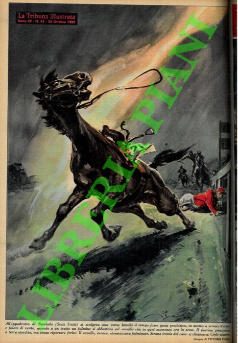 PISANI Vittorio - - All'ippodromo di Raudado (Stati Uniti) si svolgeva una corsa bench il tempo fosse quasi proibitivo, in mezzo a scrosci d'acqua e folate di vento, quando a un tratto un fulmine si abbatteva sul cavallo che in quel momento era in testa. Il fantino precipitava a terra stordito, ma senza riportare ferite. Il cavallo, invece, stramzzava fulminato. Strana ironia del caso: si chiamava: Cielo azzurro.
