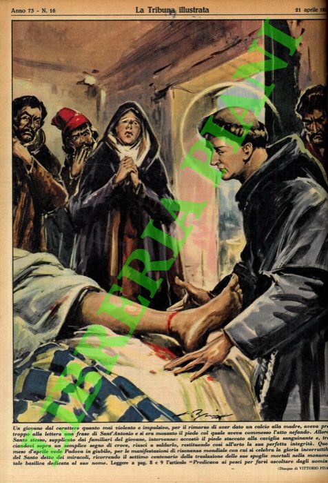 PISANI Vittorio - - Un giovane dal carattere quanto mai violento e impulsivo, per il rimorso d'aver dato un calcio alla madre, aveva preso troppo alla lettera una frase di Sant'Antonio e si era mozzato il piede col quale aveva commesso l'atto nefando. Allora il Santo stesso, supplicato dai familiari del giovane, intervenne: accost il piede staccato alla caviglia sanguinante e, tracciandovi sopra un semplice segno di croce, riusc