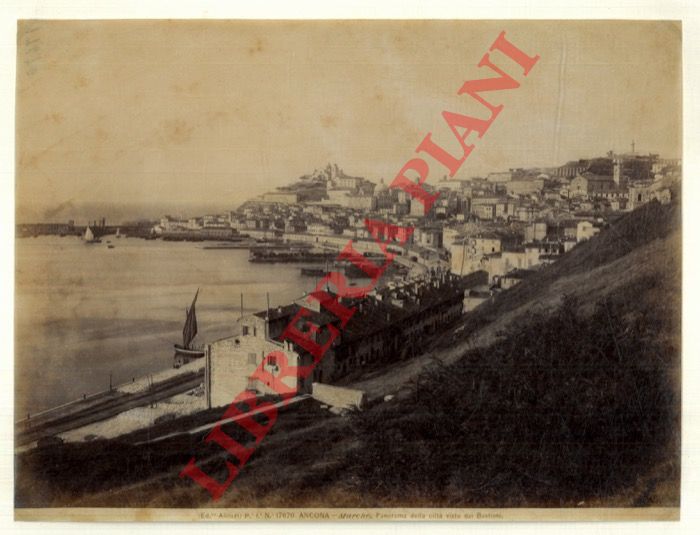 Alinari. Firenze - - Ancona. Panorama della citt visto dai Bastioni.