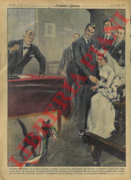 DE GASPARI G. - - Matrimonio rischiava di andare a monte a causa di un gatto che, ghermita la sciarpa tricolore del sindaco, si era dileguato.