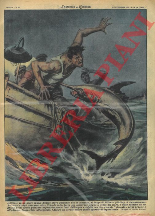 MOLINO W. - - Mentre pescava con la lampara, al largo di Milazzo, giovane pescatore sportosi oltre il bordo della barca veniva infilzato per due volte da un pesce spada.