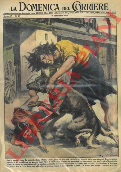 MOLINO W. - - Donna strangola cane lupo che aveva aggredito la propria figlia.