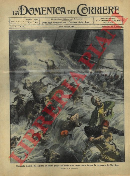 BELTRAME A. - - Rovesciato un vapore un gregge precipita in acqua nel Mar Nero.