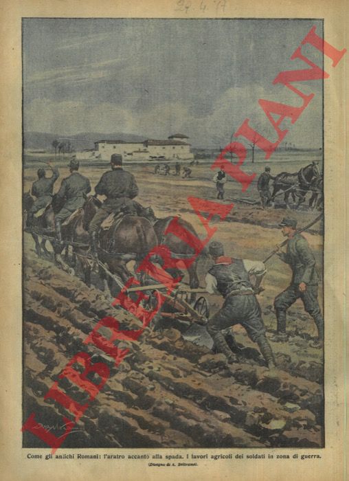BELTRAME A. - - I lavori agricoli dei soldati in tempo di guerra.