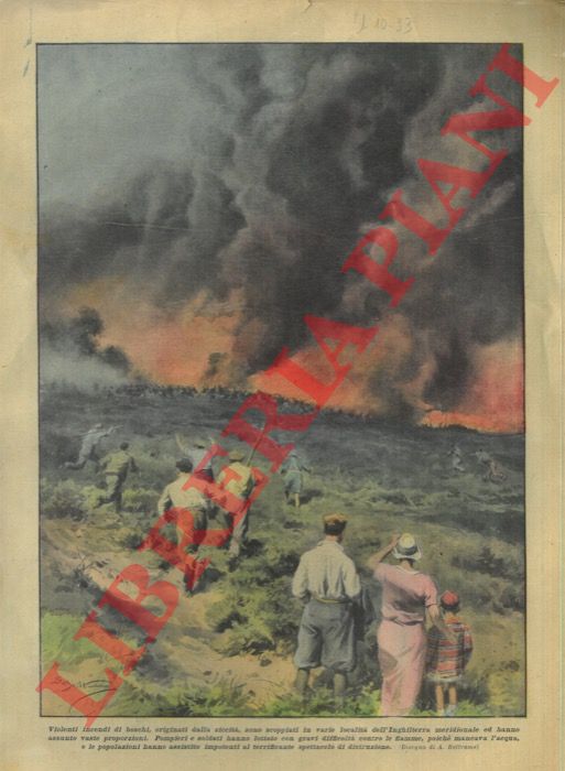 BELTRAME A. - - Violenti incendi di boschi, originati dalla siccit, sono scoppiati in varie localit dell'Inghilterra meridionale ed hanno assunto vaste proporzioni.