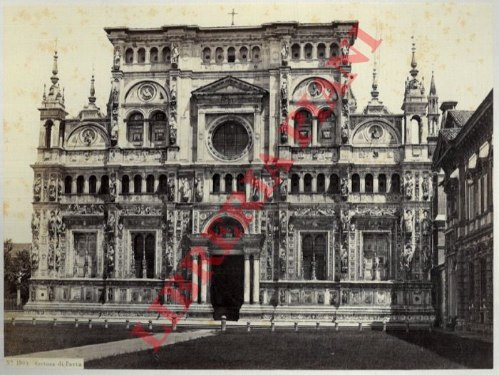 Sommer. Napoli - - Pavia. Certosa.