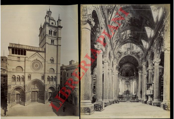 A. Noack. Genova - - Genova. S. Lorenzo.