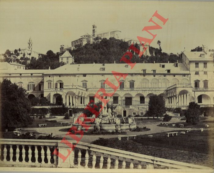 Sommer. Napoli - - Genova. Palazzo Doria Pamphili.