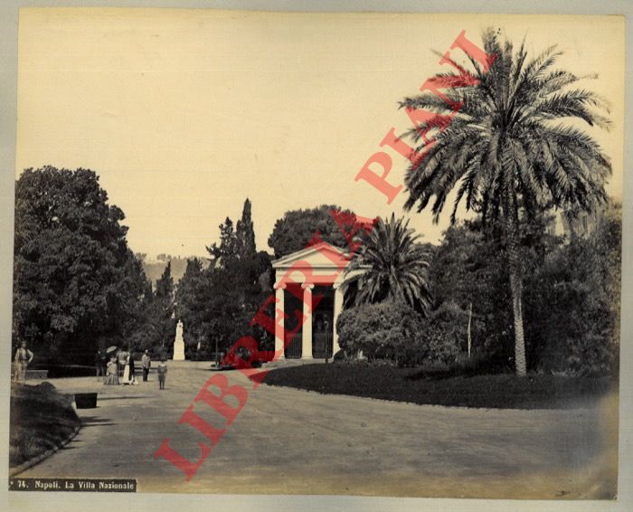 - - Napoli. La Villa Nazionale.