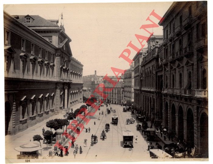 Sommer. Napoli - - Napoli. Museo Nazionale.