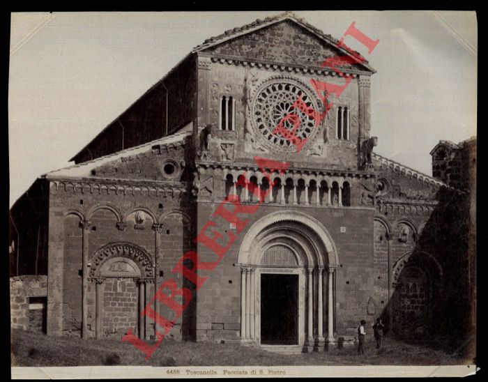 Alinari - - Tuscania (Toscanella). Chiesa di S. Pietro (interno : VIII - XII secolo)