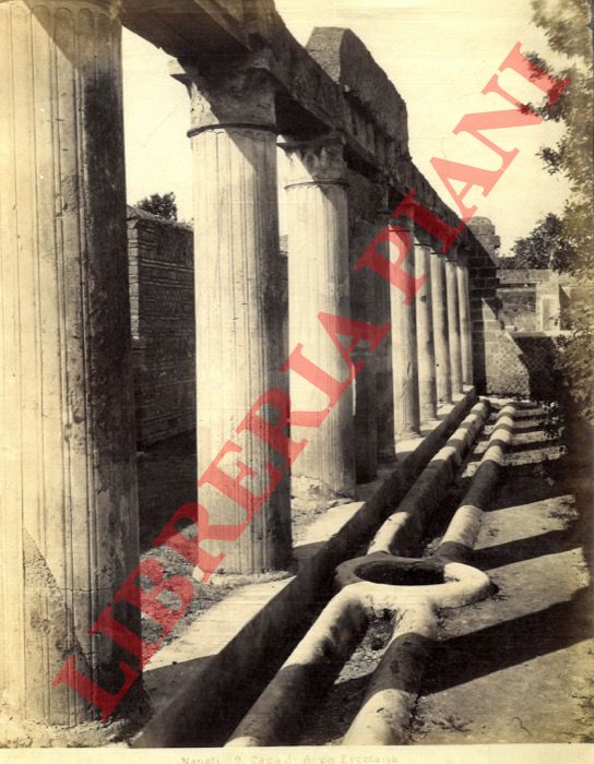 Esposito - - Ercolano. Casa di Argo.
