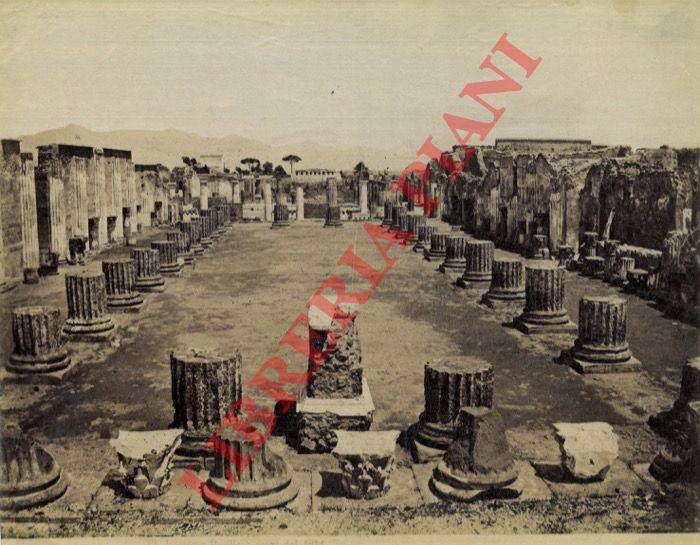 Esposito - - Pompei. Basilica. Scavi del 1814.