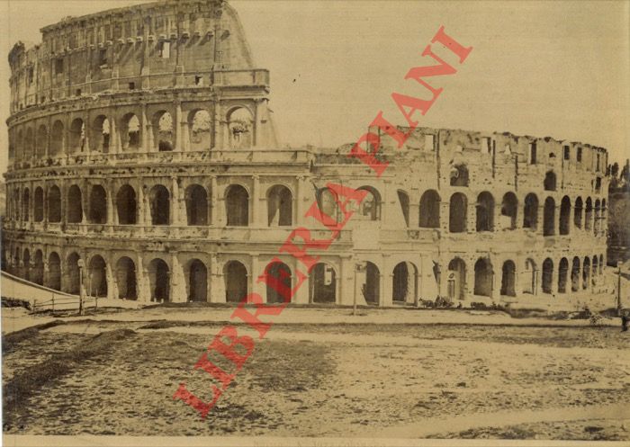 - - Roma. Colosseo.