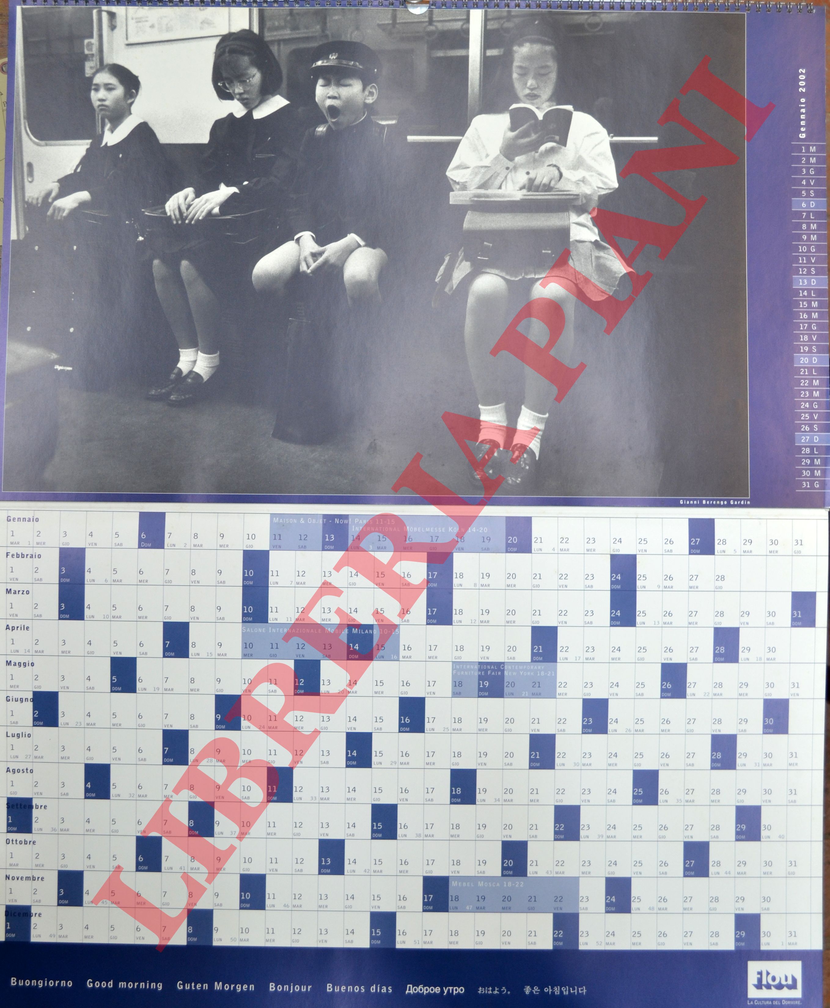 Autori vari  - Flou - - Calendario 2002.