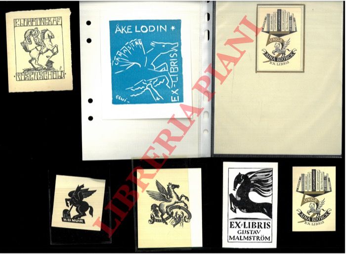 - - Ex libris : CAVALLI - CAVALLI ALATI -