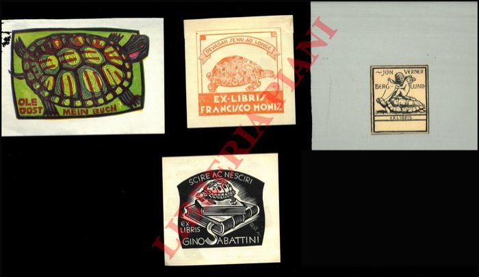 - - Ex libris : TARTARUGHE -