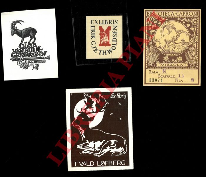 - - Ex libris : UNGULATI (Cervi; Caccia grossa) -