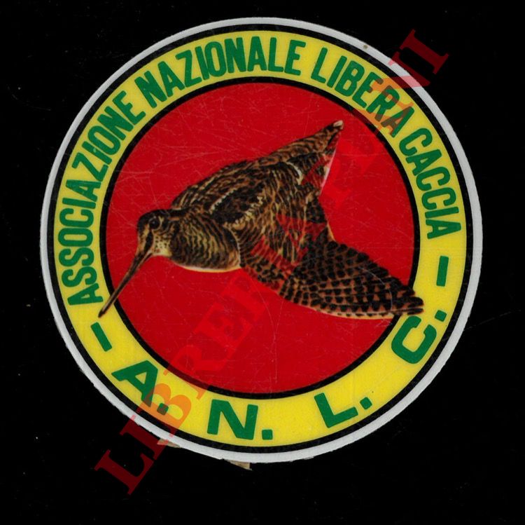 - - ANLC. Associazione Nazionale Libera Caccia. Beccaccia in volo.