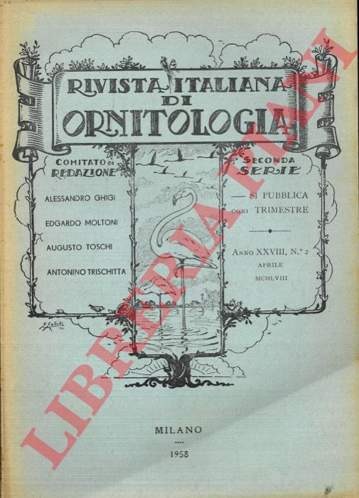 R.I.O. - (Moltoni, Orlando, Mainardi) - Rivista Italiana di Ornitologia. Seconda Serie. 1958