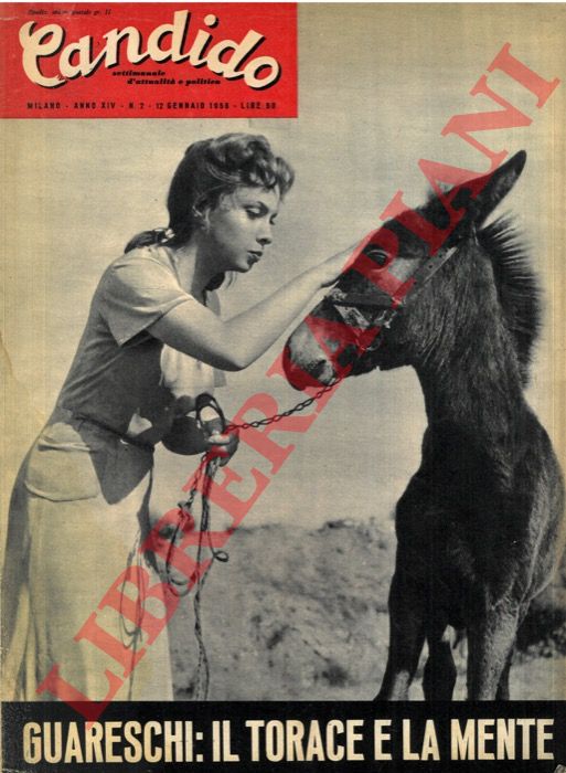 Minardi - (Guareschi) - - Candido. Settimanale d'attualit e politica. 1958.