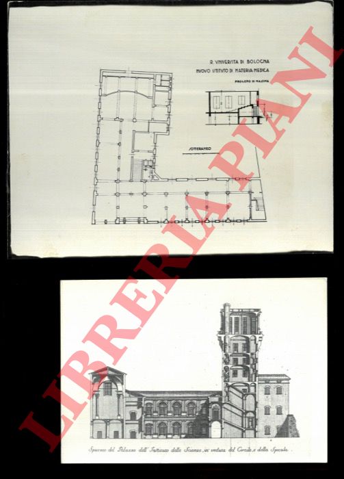 R. Universit di Bologna - - Nuovo Istituto di Materia Medica - Facolt di Lettere e Filosofia - Palazzo dell'Istituto delle Scienze.