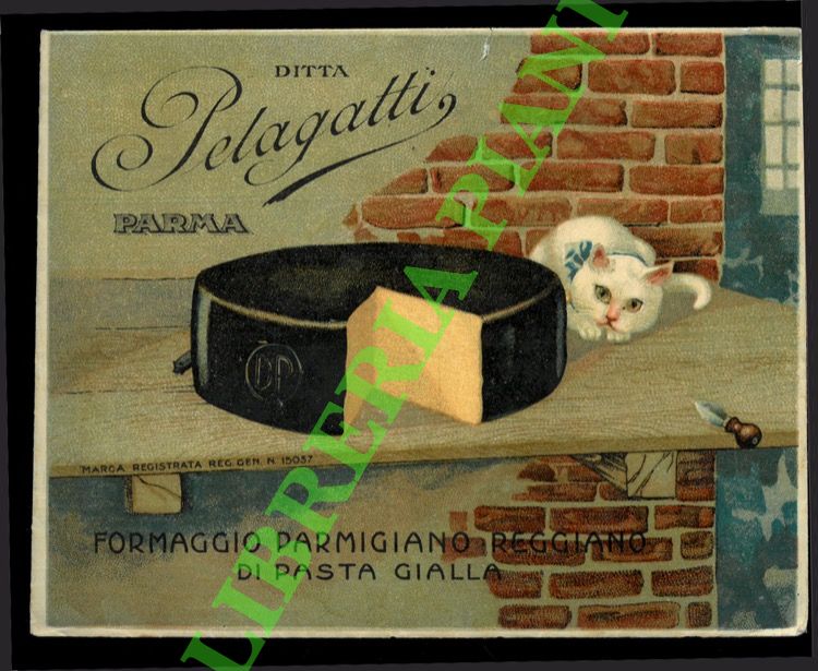 Ditta Palagatti. Parma - - Formaggio parmigiano di pasta gialla.