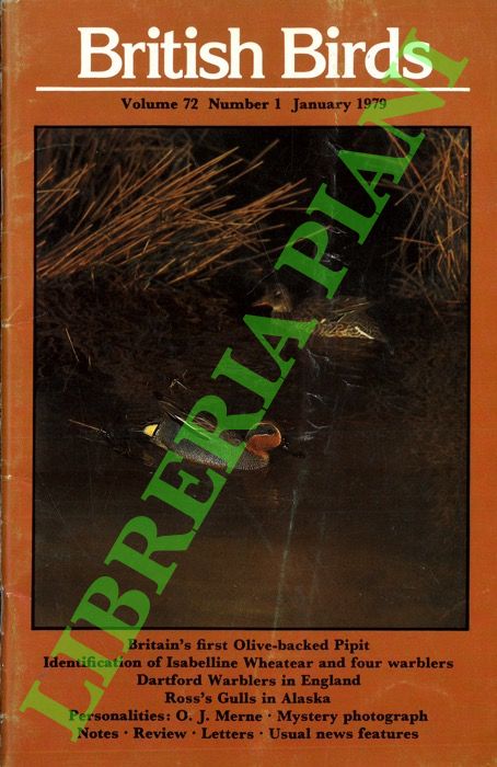 - - British birds. 1979.