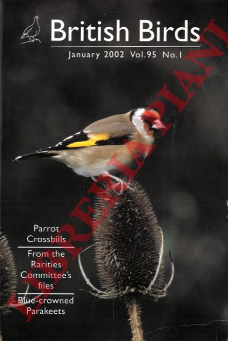 - - British birds. 2002.