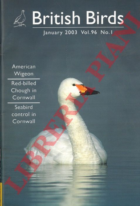- - British birds. 2003.