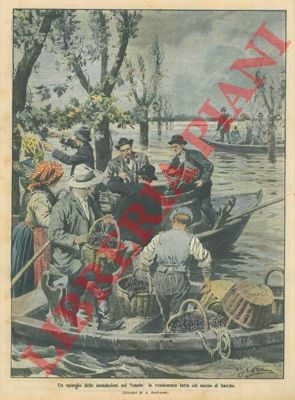 BELTRAME A. - - Il Po' e l'Adige straripano, contadini veneti vendemmiano con la barca.