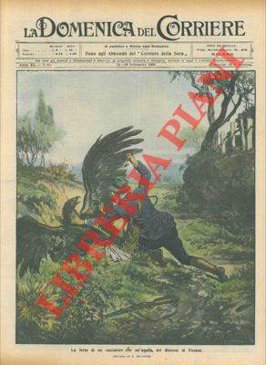 BELTRAME A. - - La lotta di un cacciatore con un'aquila, nei dintorni di Firenze.