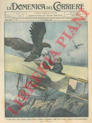BELTRAME A. - - Aviatore assalito da un aquila a 2.000 metri di altezza, gli spara.