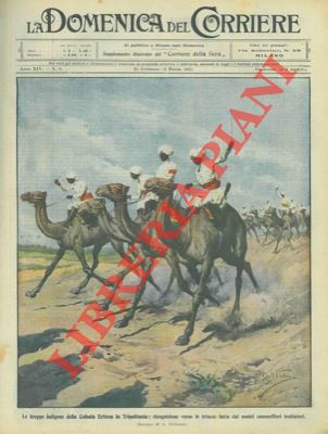 BELTRAME A. - - Le truppe indigene della Colonia Eritrea in Tripolitania durante una ricognizione con i cammelli trottatori.