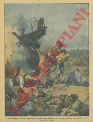 BELTRAME A. - - Cavallo di un ufficiale bulgaro viene ucciso da una granata mentre esso raccoglieva un bimbo solo fra i morti.